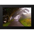 thumbnail image 2 of Johnson, George 18x13 Black Modern Framed Museum Art Print Titled - Foggy Path, 2 of 5