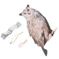 thumbnail image 5 of Owl Decoy Waterproof Fake Owl Scarecrow Lifelike Bird Statue Flashing Eyes Frightening Sound Owl Statue Control Devices For Farm, 5 of 6