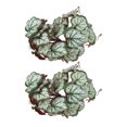thumbnail image 4 of Artificial Reptile Plant, 2PCS Easy To Install Non Fading Artificial Plastic Plant Easy Care Soft Texture  For Fish  For Reptile Pet Nests Sweet Potato Leaves,Heuchera, 4 of 8