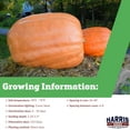 thumbnail image 2 of Harris Seeds - Pumpkin Dill's Atlantic Giant Seeds - 1 Lb., 2 of 7