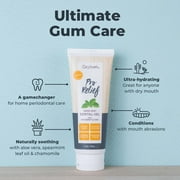 Oxyfresh Premium Pro Relief Dental Gel with Zinc –Infused with Aloe Vera, Chamomile and Xylitol – Dentist Recommended to Help Soothe Gum Tissue.