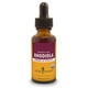 thumbnail image 1 of Suplemento de extracto de raíz de rhodiola de Herb Pharm 30 ml, 1 of 4