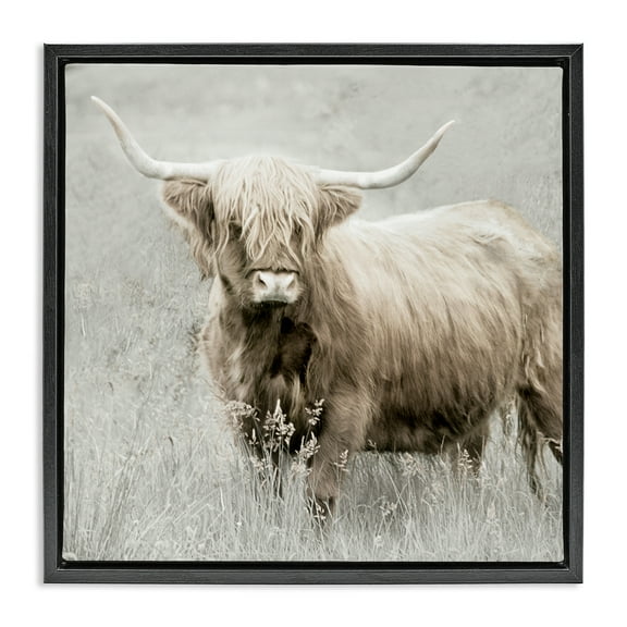 Stupell Industries Subtle Longhorn Cattle Animals & Insects Painting Black Floater Framed Canvas Art Print Wall Art, 18 x 18