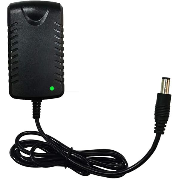 HAYAN12V Charger for Kids Ride On Car Toys, 12 Volt Battery Charger for Best Choice Products Wrangler SUV Universal Charger Supplies for Trax Dynacraft Jeep ATV Quad Disney Electric Ride-On Charger