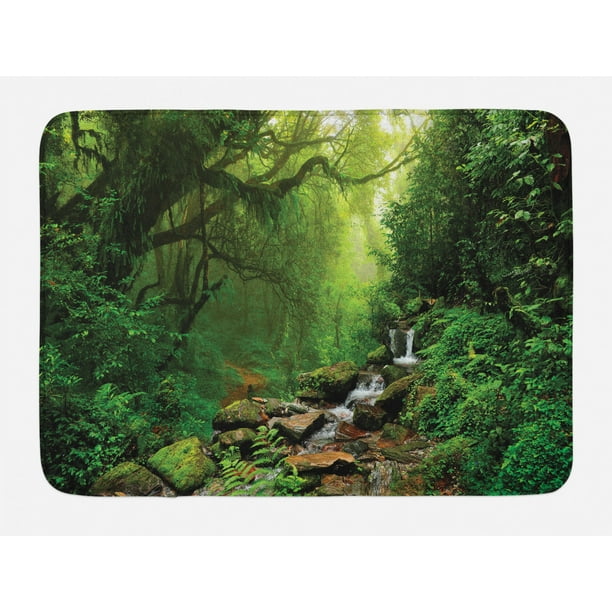Rainforest Bath Mat, Forest in Nepal Footpath Wildlife Spring Plant and