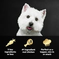 thumbnail image 4 of Cesar Simply Crafted Chicken Variety Pack Wet Dog Food Meal Toppers, 1.3 oz Tubs (8 Count), 4 of 12