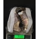 thumbnail image 5 of Zapatillas de deporte con cuña para mujer, sandalias con lentejuelas, zapatos deportivos a la moda para chicas Wmkox8yii  sa3120, 5 of 5