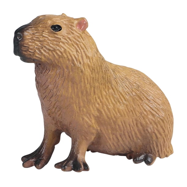 Vogacara Turtle Animal Model Toy Simulated Solid Mode Animal Mini for Teaching Aids Juguetes Educativos Tipo 1