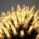 thumbnail image 4 of WATERGLIDE Paquete de 2 50 luces LED de Navidad para exteriores, mini cadena de luces de 16 pies con pilas con 8 modos y temporizador, luces de árbol de Navidad impermeables para patio, jardín, fiesta, 4 of 4