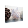thumbnail image 2 of Elena Ray 'Shell Portrait III' Canvas Art, 2 of 3