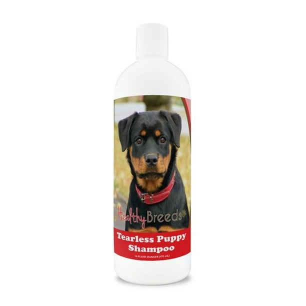 Healthy Breeds 840235113669 Rottweiler Shampooing pour Chiot Sans Lacération