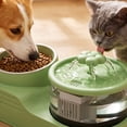 thumbnail image 5 of 2 in 1 Cat Feeder and Water Fountain, Cat Water Fountain and Food Bowl, Pet Water Dispenser with Balanced Base, Automatic Flower Fountain & Large Capacity Bowl _ #05 _ Green _ B, 5 of 6