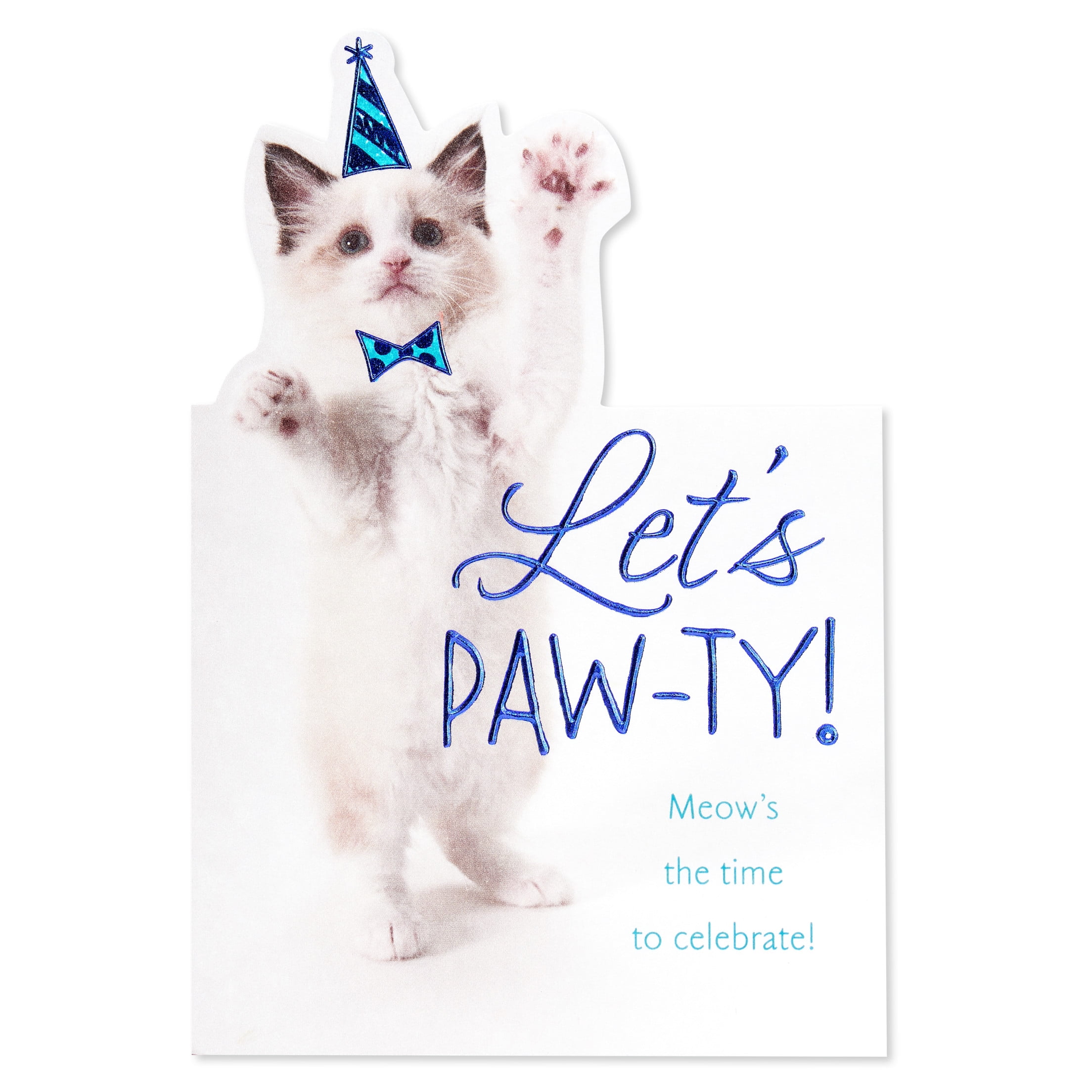 American Greetings Birthday Card for Anyone (Purr-fect)