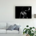 thumbnail image 3 of Trademark Fine Art 'Bullish' Canvas Art by Julie Chapman, 3 of 3