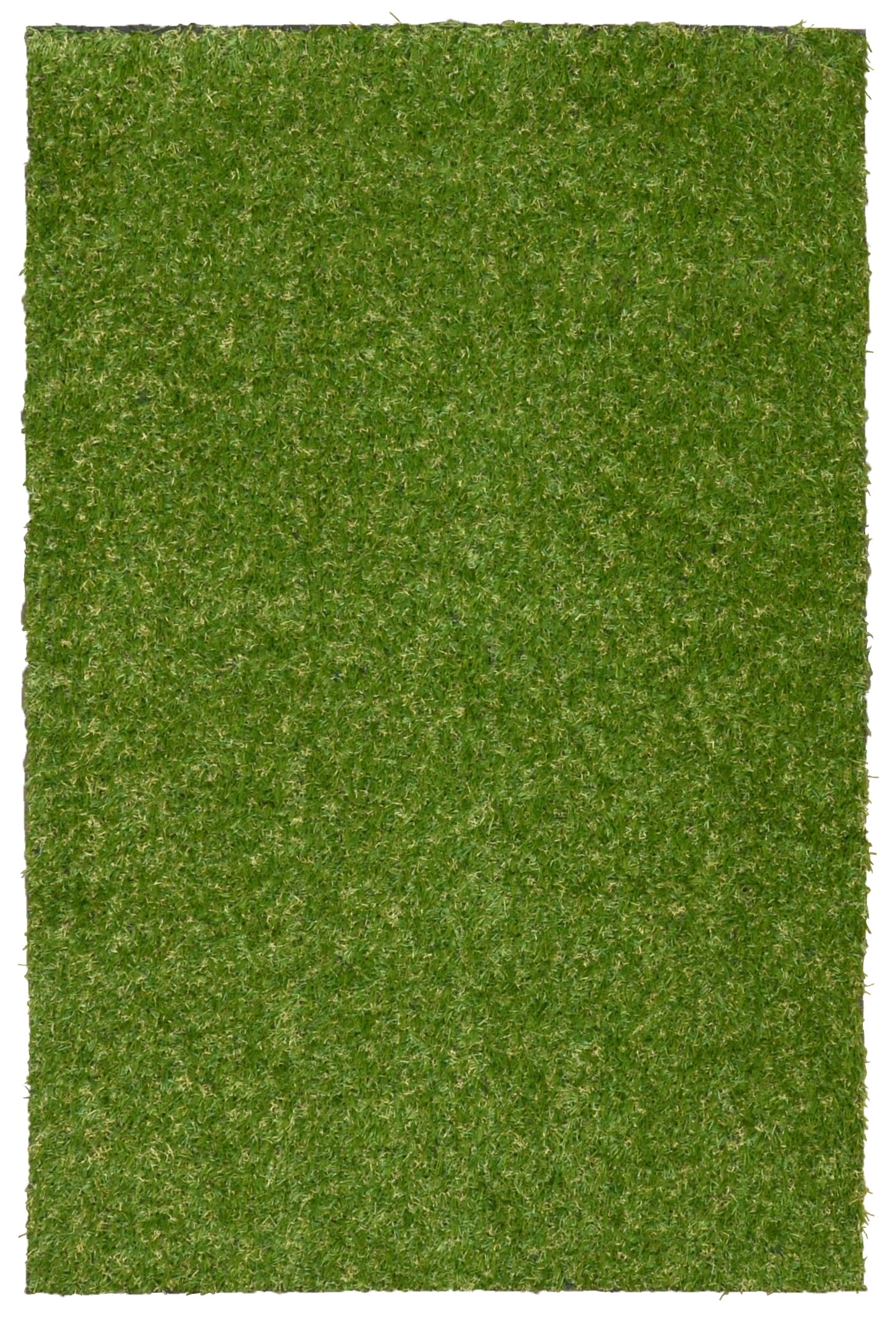Garland Puppy Pee Pad 6 ft. x 9 ft. Easy Clean with Drainage Holes, Non-Toxic Realistic Artificial Grass Turf