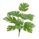 thumbnail image 2 of Decoración de Jardín de Plantas Artificiales, Accesorios de Fotografía , Decoración Del Hogar, Decoración Verde para Baño de Granja, Oficina, Ho Estilo E, 2 of 8