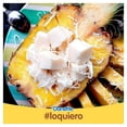 thumbnail image 4 of Gelatina a base de leche Danette   sabor coco 100 g, 4 of 4
