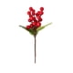 thumbnail image 2 of Xihbxyly Decoración Navideña de Bayas, Rama de Fruto Rojo Realista, Hojas Verdes Naturales, Crea Un Ambiente Festivo, Decoración Festiva para El Hogar, Opción de Regalo, Juego de 5 Piezas, Varios Tam, 2 of 6