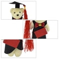 thumbnail image 2 of EeaseCA 24pcs Mini Plush Bear Stuffed Graduation Stuffed Animals Plush Bears Bouquet Decor Random Envelope Style, 2 of 7