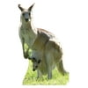 Kangaroo Cardboard Stand-Up