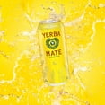 thumbnail image 5 of Guayakí Yerba Mate, Organic Energy Drink Alternative, Lemon Elation, 150mg Natural Plant Based Caffeine, Better for You Energy & Focus, No Jitters or Crash, 15.5 Oz, 5 of 5