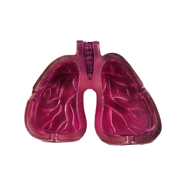COOLHOOD Unique Lung Shaped Ashtray Easy to Prevents Ashes from Flying Perfect for Art Lovers and Smokers