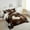 Brown Pink White, variant on Erosebridal Western Cowboy Comforter Sets,Animal Horse Comforters & Duvets,Animal Print Bedding Comforter Set,Ultra Soft Floral Bedroom Decorative,Reversible,2pcs
