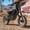 Black—14"/12" wheel, variant on Qronge Electric Dirt Bike for Adults 50 mph Max Speed X1 Spark E-Bike 4500W Peak Mid-Drive Motor 60V 28.8AH Battery up to 60Miles Range off Road Ebike 14"/12" Fat Tire E-Mountain Bike, UL2849 by SGS
