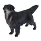 thumbnail image 3 of Juguete de animales Perro / Figuras de animales de simulación Juguete científico y educativo para, 3 of 9