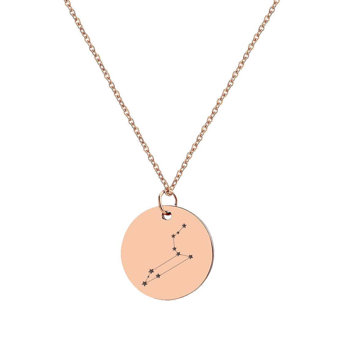 Anavia Round Leo Constellation Zodiac Star Sign Stainless Steel Rose Gold Disc 22mm Pendant Jewelry with Gift Box