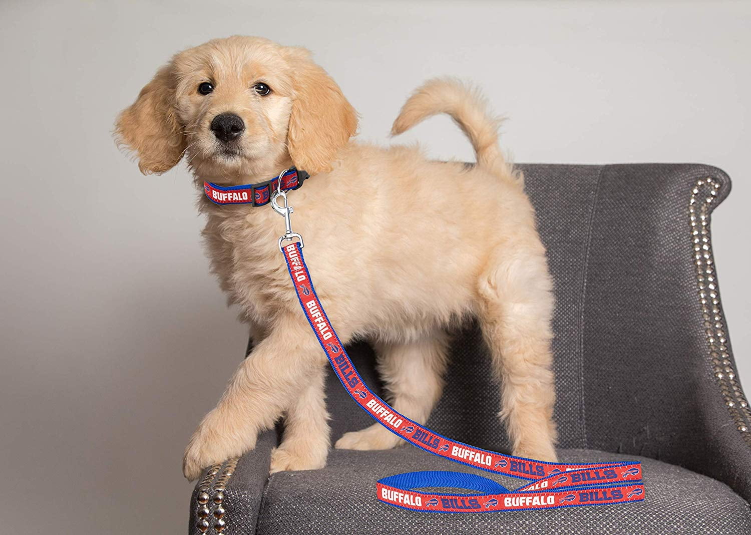 Pets First NFL Buffalo Bills Heavy Duty and Durable Dogs and Cats Sports Leash - Small
