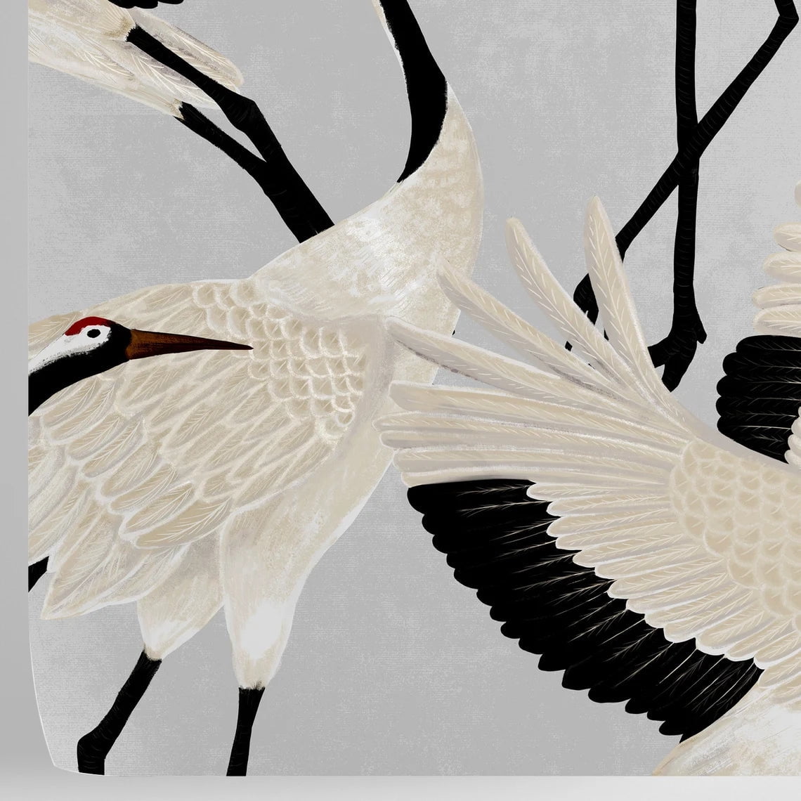 Grey Herons Wallpaper