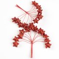 thumbnail image 3 of Festive Red Glitter Star Sprays for Holiday Celebrations by Factory Direct Craft, 3 of 3