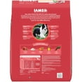 thumbnail image 3 of Iams Proactive Health Minichunks Dry Dog Food With Real Lamb & Rice, 30 Lb. Bag, 3 of 12