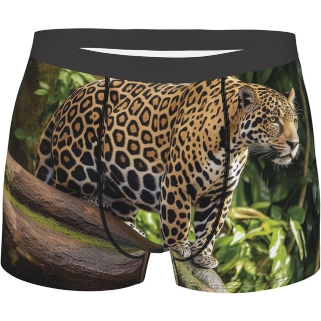 Men's Underwear Boxer Briefs Supersoft Brushed Stretch Boxer Briefs Leopard on Tree Trunk Waterfall Mens Trunks