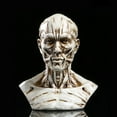thumbnail image 4 of 4 "Human Skull Drawing Antique White, 4 of 6