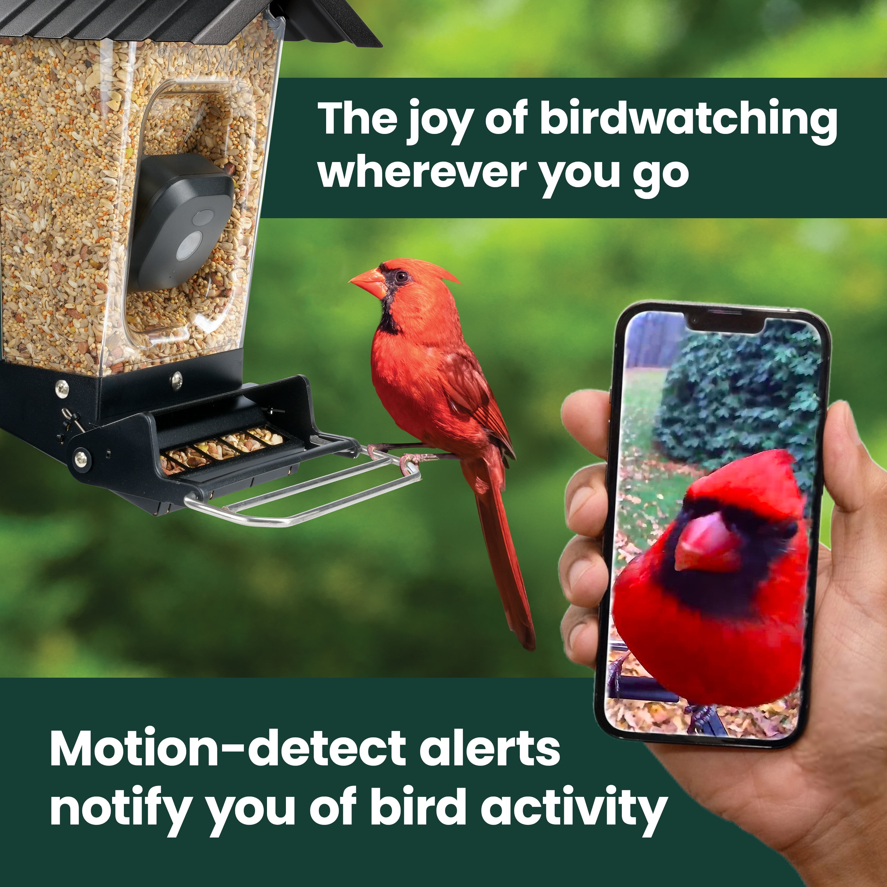 Perky-Pet Solar Powered Smart Bird Feeder with Camera