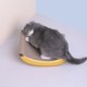 thumbnail image 4 of Rascador de gato de papel corrugado YONGSHENG con forma de plátano y hierba gatera 31,5x22x12cm, 4 of 5