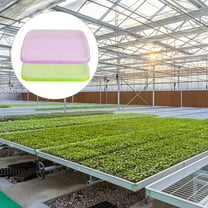 STOBOK 4 Set Wheatgrass Growing Trays Assorted Color Water Storage Home Cultivation for Indoor Gardening