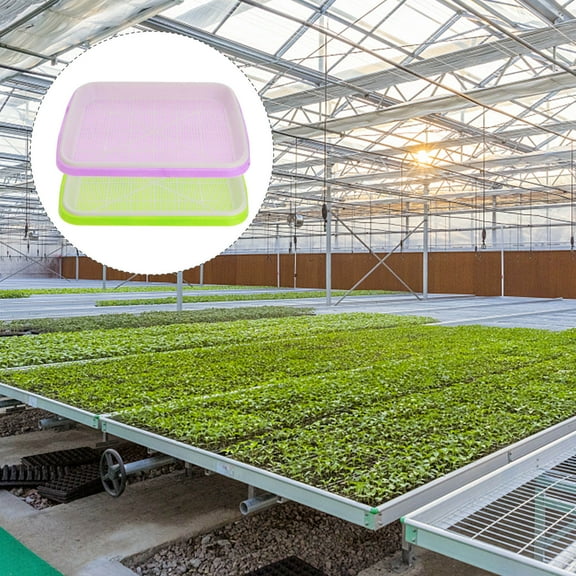 STOBOK 4 Set Wheatgrass Growing Trays Assorted Color Water Storage Home Cultivation for Indoor Gardening