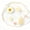 White dried flowers, variant on Pressed Dried Flower Resin Coaster, with Real Preserved Floral & Gold Flakes, Waterproof Heat Resistant Table Decor Coasters for Mugs, Cups
