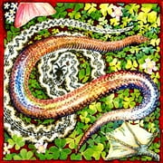 Bobby Previte: In The Grass