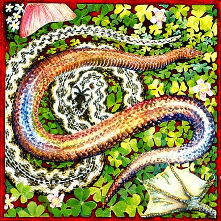 Bobby Previte: In The Grass