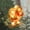 B, variant on Christmas Window Decoration Lights Battery Operated (Not Include) Christmas Indoor Lights Window Hanging Decoration Lights Party Christmas Gift