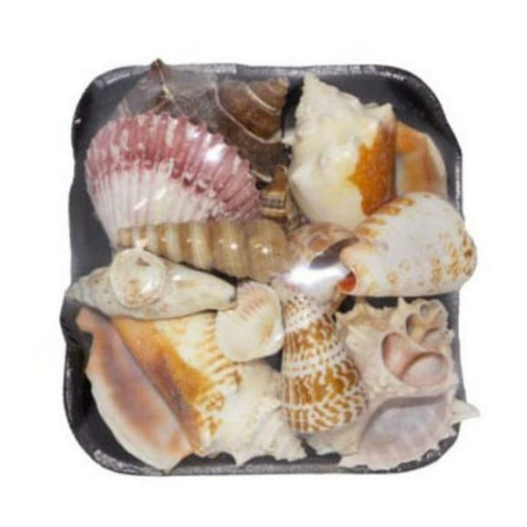 U.S. Shell 08032 1-S Shell Pack - 3 Piece