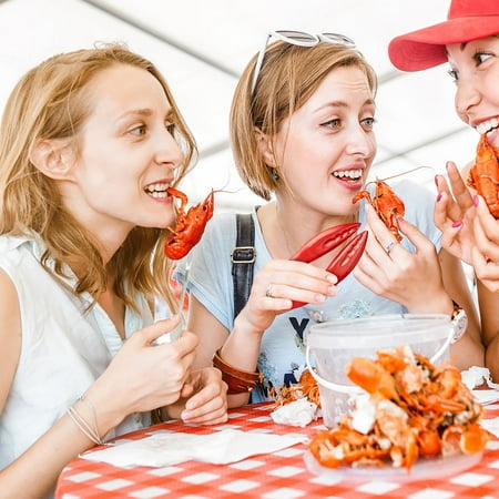 

HOOUDO Lobster Claws And Crab Needles Clearance Eating Crab Tools Crab Pincers Crab Lobster Pincers Crayfish Open Crab Needle Kitchen Supplies Set