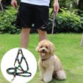 thumbnail image 5 of Desiderio Harnais pour Chien Sans Traction pour Petits et Moyens Chiens Chiots, Réglable, 5 of 5