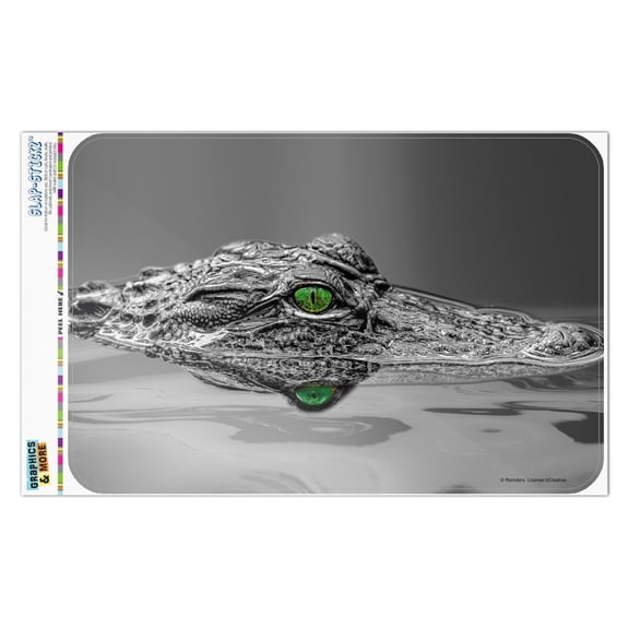 Alligator Black and White Green Eyes Home Business Office Sign