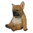 thumbnail image 3 of Laid Back Sitting Realistic Adorable French Bulldog Puppy Dog Figurine 7.5"H, 3 of 9