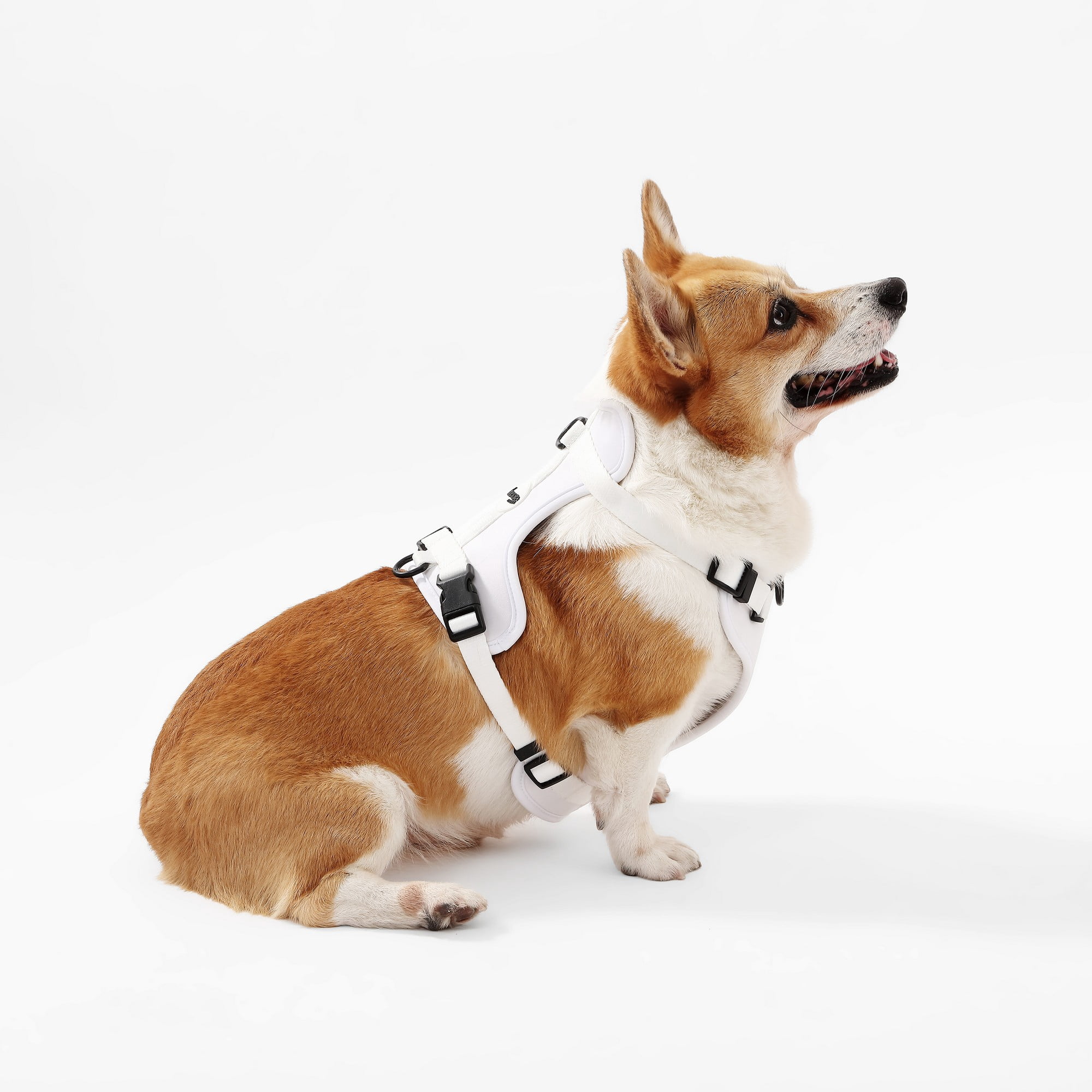THE LICKER STORE Arlo Medium Adjustable Soft Padded No Pull Pet Harness with 3 Buckles and 3 Leash Clips, White, HNS1002F